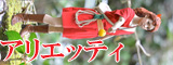 ؂炵̃AGbeB